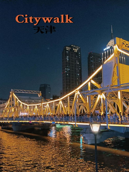 聚焦上合组织天津峰会：共话合作与发展