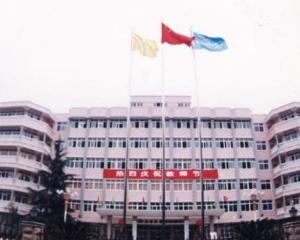 学历贬值时代，“弃本读专”的年轻人何去何从？