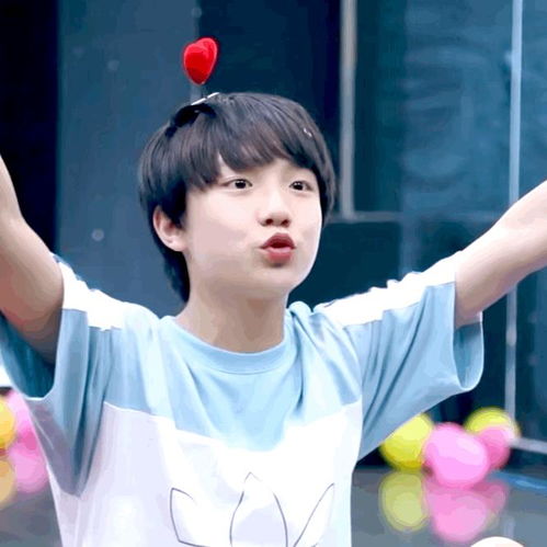 苏新皓作品相关照片