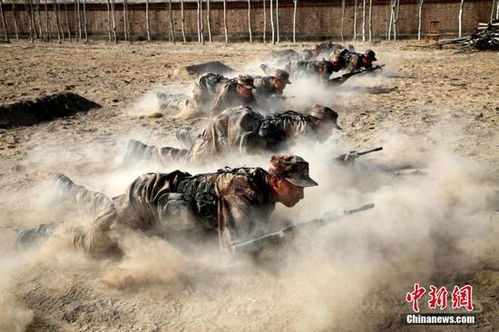 阅兵方队训练中的成长之路