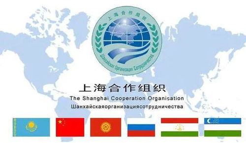 铭记上海精神，共创美好未来