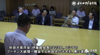 普京接受新华社专访，透露重要信息！