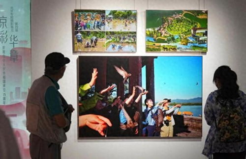 共赴美好未来：中国与上合伙伴的和平发展之路