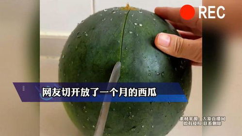 货车司机送还瓜钱，卖瓜大姐暖心回应