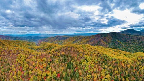 东北虎豹国家公园