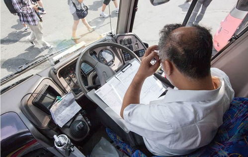 重庆丰都27岁挂车司机缅甸失联始末