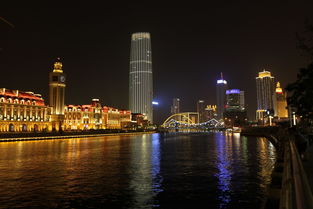 上合峰会外宾齐聚天津，共话合作新篇章！