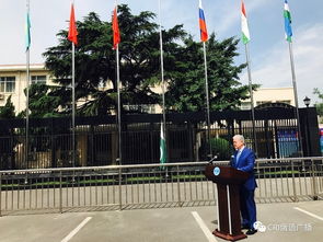 上合组织成员国旗汇聚在一起