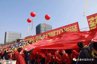 观众席上挥舞的国旗