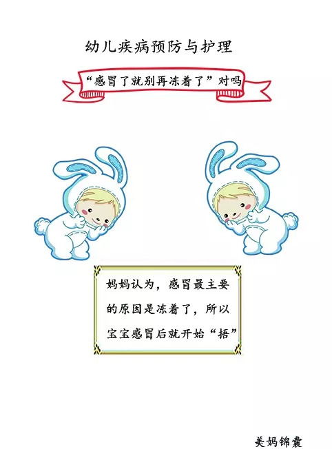 健康的进食顺序示意图