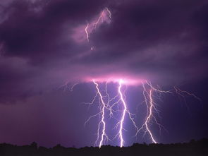 应对恶劣天气！大暴雨、雷暴、大风来袭的注意事项