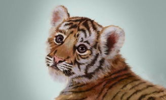 女童动物园被小老虎咬伤右腿，家长怒：要打五针狂犬疫苗！