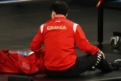 樊振东获奖时刻