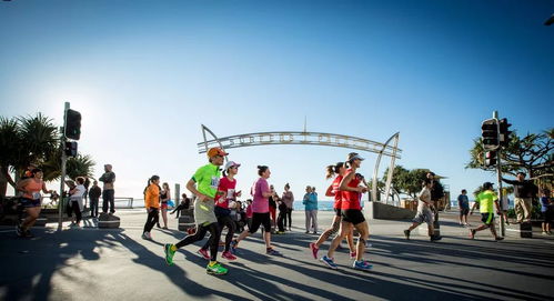 2025哈尔滨马拉松即将开跑！超燃氛围席卷冰城