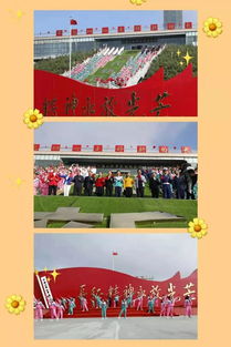 上合组织成员国国旗展示