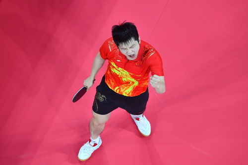 樊振东获胜后的庆祝画面