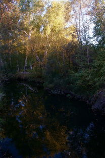 八月的最后一天，我的特别回忆