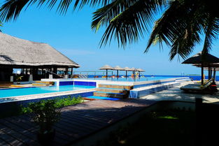 独家揭秘！习近平会见马尔代夫总统穆伊兹背后的故事