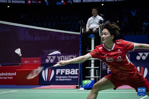 陈雨菲vs山口茜：羽坛巅峰对决背后的那些事儿