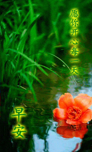 充满活力的早晨