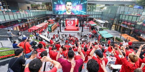 球迷们夜游濠河