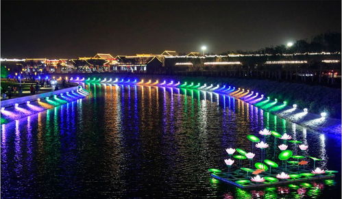 土耳其总统埃尔多安抵达天津参加上合峰会