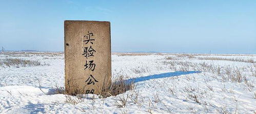 揭露侵华日军100细菌部队：731部队的‘恶魔兄弟’