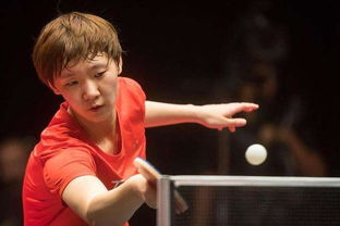 王曼昱和孙颖莎在赛场上的合影