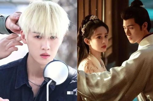 《尚公主》全阵容官宣，孟子义李昀锐二搭引期待