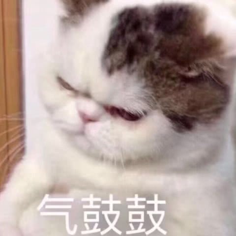 特朗普：被参议院放假气坏的老总