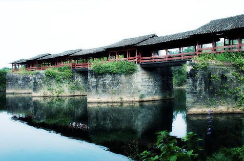 一支视频带你领略天津桥之美