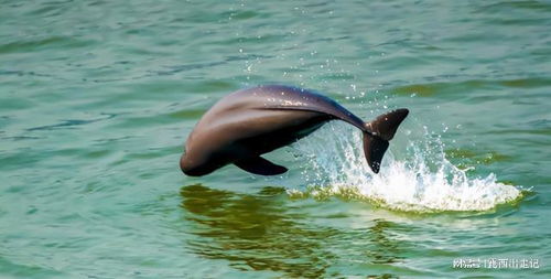 镇江VS南京：同饮一江水的奇妙故事