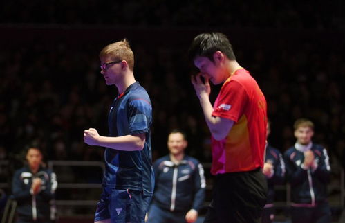 樊振东德甲首秀失利，未来之路仍充满期待！