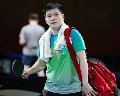 樊振东训练画面