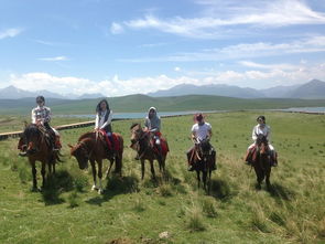 早春晴朗下电影《开拍》背后的趣事