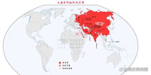 上合组织国家互联互通，经贸合作迎来新高潮！