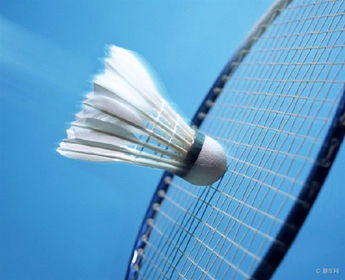 各种品牌羽毛球