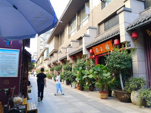 天津与上合：一场‘天作之合’的盛事