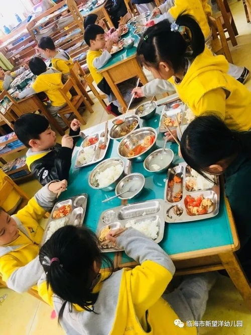 河南某幼儿园惊现20元吃龙虾鲍鱼，背后真相令人深思！