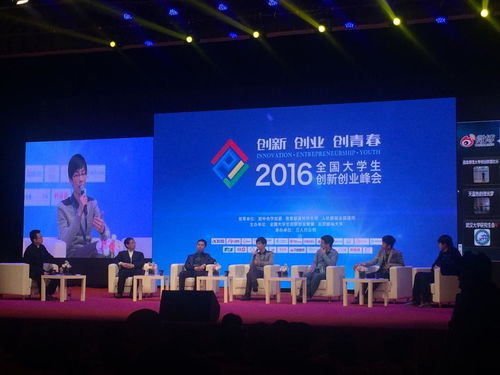 各国领导人参与峰会相关活动示意图