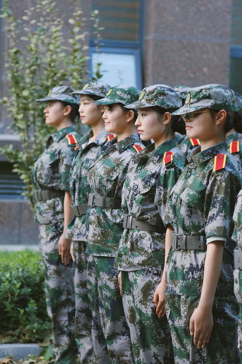 各种不同样式的军训服