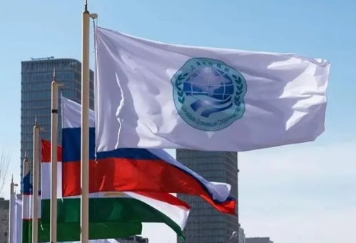 聚焦全球治理新蓝图！上合组织助力构建公正合理国际体系