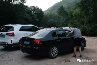 秦皇岛动物园猛虎惊魂：游客违规下车险象环生