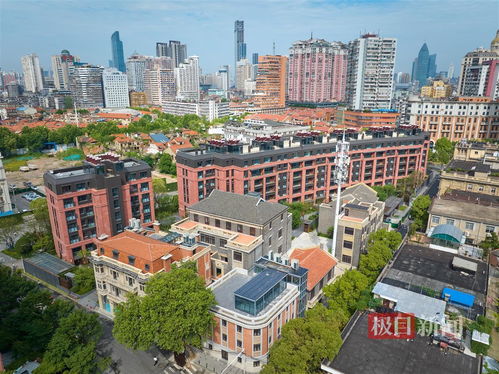 遇见上合，共享津城之彩