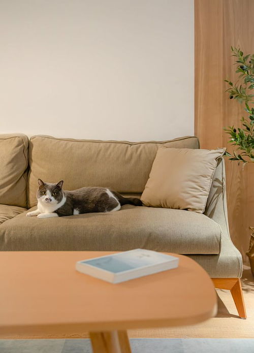 罗伯特 AI 成精？集美们别再沉默！