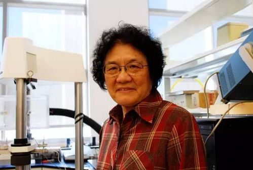 清华女博士勇闯短剧圈，累并快乐着