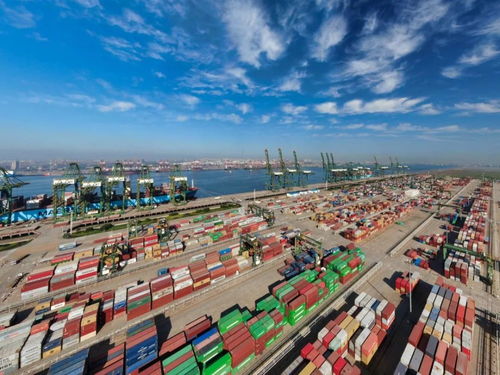 天津港忙碌的集装箱码头