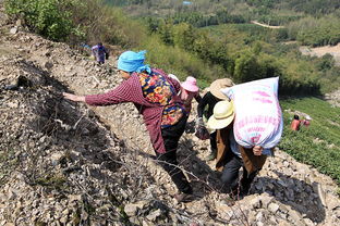 一群人艰难爬山