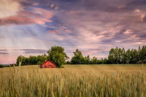 云台相机拍的美景