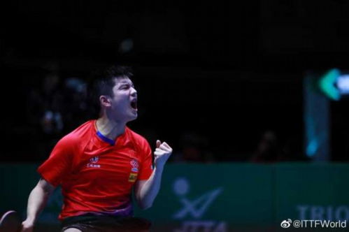 队友回应樊振东德甲首秀失利，背后故事引人深思